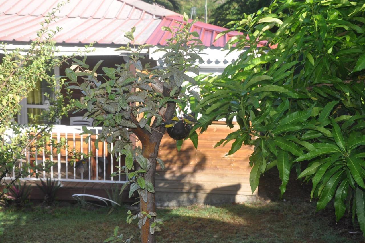 Les Bungalows D'Arly Bouillante Extérieur photo